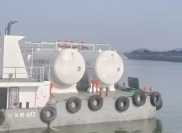 Сюй Синьхан